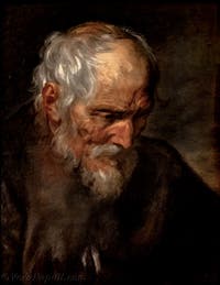 Van Dyck, Ritratto di un vecchio, Museo di Capodimonte a Napoli, in Italia