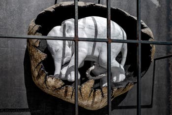 Jago, Airavata, Museo Jago a Napoli, in Italia