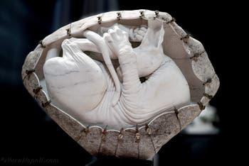 Jago, Sfinge, Museo Jago a Napoli, in Italia