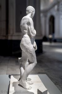 Jago, Venere, Museo Jago a Napoli, in Italia