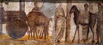 Affresco Carro con muli, Pompei, Praedia di Giulia Felice, Museo Archeologico di Napoli