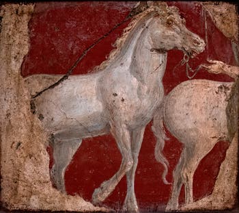 Affresco Due cavalli tenuti al guinzaglio, Stabiae, Villa di Arianna, Museo Archeologico di Napoli