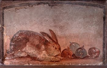 Fresque Coniglio e fichi, Pompei, Museo Archeologico di Napoli