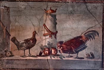 Affresco Gallina e gallo in un tempio, Ercolano, Museo Archeologico di Napoli