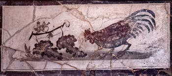 Affresco Gallo che becca l'uva, Ercolano, Casa dei Cervi, Museo Archeologico di Napoli