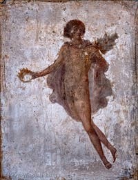 Affresco, Giovane uomo alato, Stabiae, Villa di Arianna, Museo Archeologico di Napoli