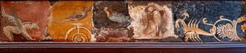 Affresco con grifone, uccelli e scorpione, Stabiae, Villa di Arianna, Museo Archeologico di Napoli