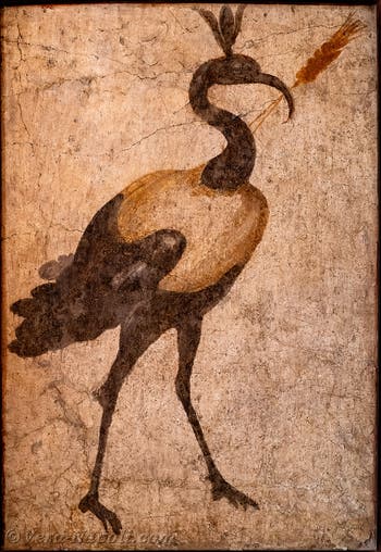 Affresco Sacro ibis del Nilo, Pompei, Tempio di Iside, Sacrarium, Museo Archeologico di Napoli