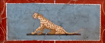 Affresco Pantera, Pompei, tomba di Mamia, Museo Archeologico di Napoli