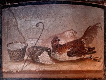 Affresco Gallo, gallina e cesti, Pompei, Museo Archeologico di Napoli