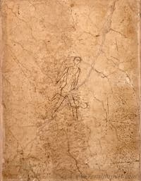 Graffito raffigurante un atto sessuale, Pompei, bordello, Museo Archeologico di Napoli