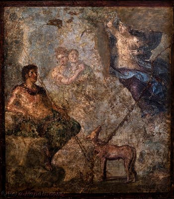 Endimione e Selene, Pompei, Casa dei Dioscuri