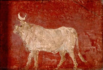 Affresco del Toro Api, Pompei, Museo Archeologico di Napoli