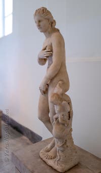 Afrodite, tipo Dresda Capitolina, Museo Archeologico di Napoli, Italia