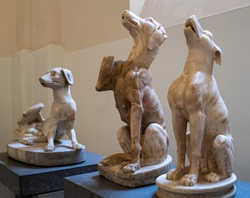 Cani seduti provenienti da una fontana, Collezione Farnese, Museo Archeologico di Napoli, Italia