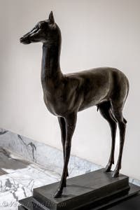 Cerbiatto, Villa dei Papiri, Ercolano, Museo Archeologico di Napoli in Italia