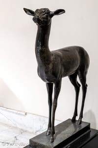 Cerbiatto, Villa dei Papiri, Ercolano, Museo Archeologico di Napoli in Italia