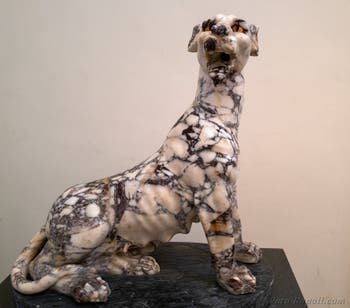 Pantera maculata, Collezione Farnese, Museo Archeologico di Napoli, Italia