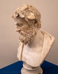 Busto di un Satiro nelle vesti di Bacco, Museo Archeologico di Napoli, Italia